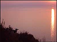 Cap Corse