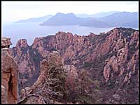 Rando Piana