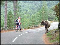 Cyclotour corse