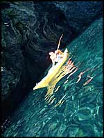 kayak-mer-corse